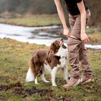 DogCoach Zip-off Sommerhose mocca Unisex
