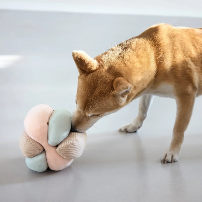 Hundespielzeug - Brino, Rosa